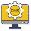 Custom CMS Development